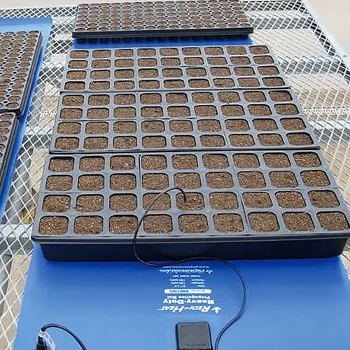 Seedling Heat Mat for Seed Starting - Free Shipping