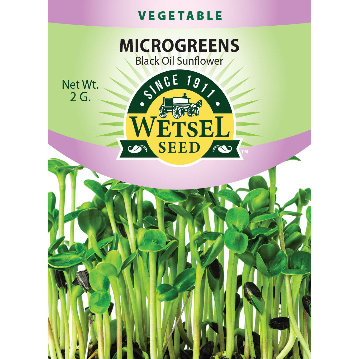 Wetsel Seed Microgreens Black Oil Sunflower Seed Greenhouse Megastore