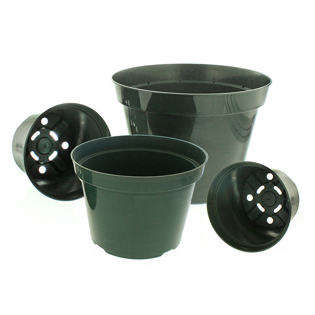 100 NEW 6 Inch TEKU Plastic Nursery Pots - Azalea Style ~ Pots