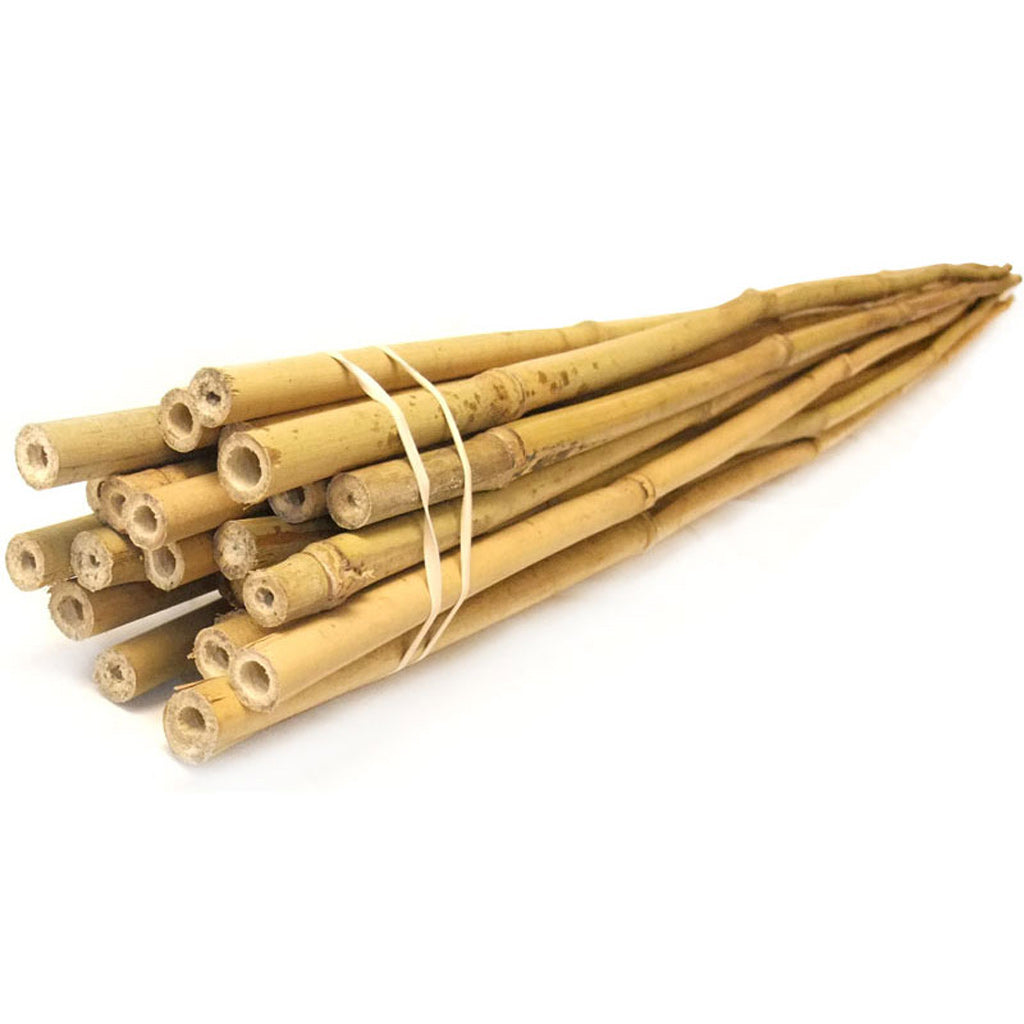 Bamboo Landscape Stakes at