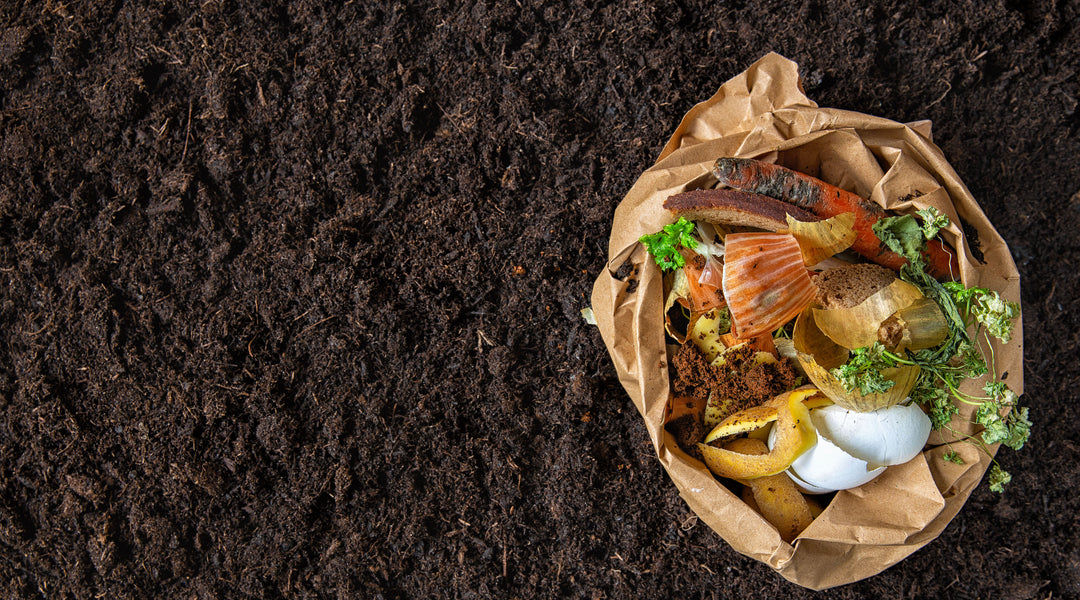 Composting: How does it work and how do you get started?