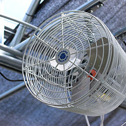 Cooling, Exhaust and Circulation Fans for Greenhouses