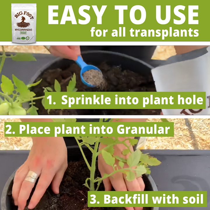 Big Foot™ Mycorrhizae Granular