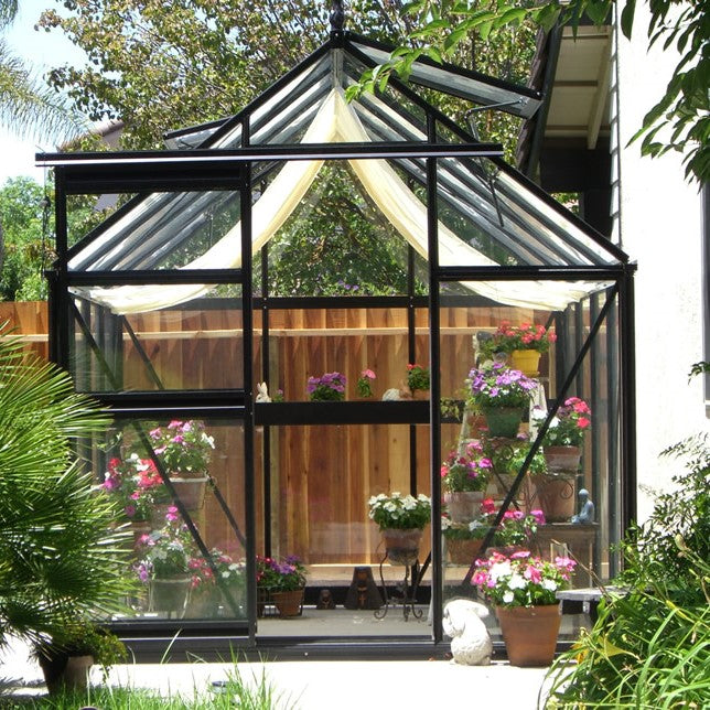 Junior Victorian Greenhouse Kit 7.9 x 12.6 ft. with 4mm Tempered Glass Panels and Aluminum Frame