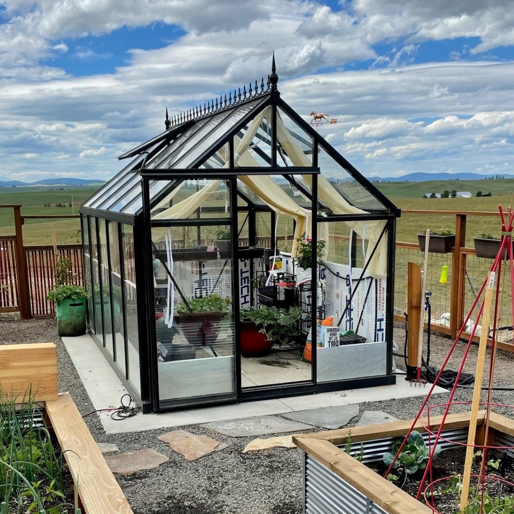 Junior Victorian Greenhouse Kit 7.9 x 12.6 ft. with 4mm Tempered Glass Panels and Aluminum Frame