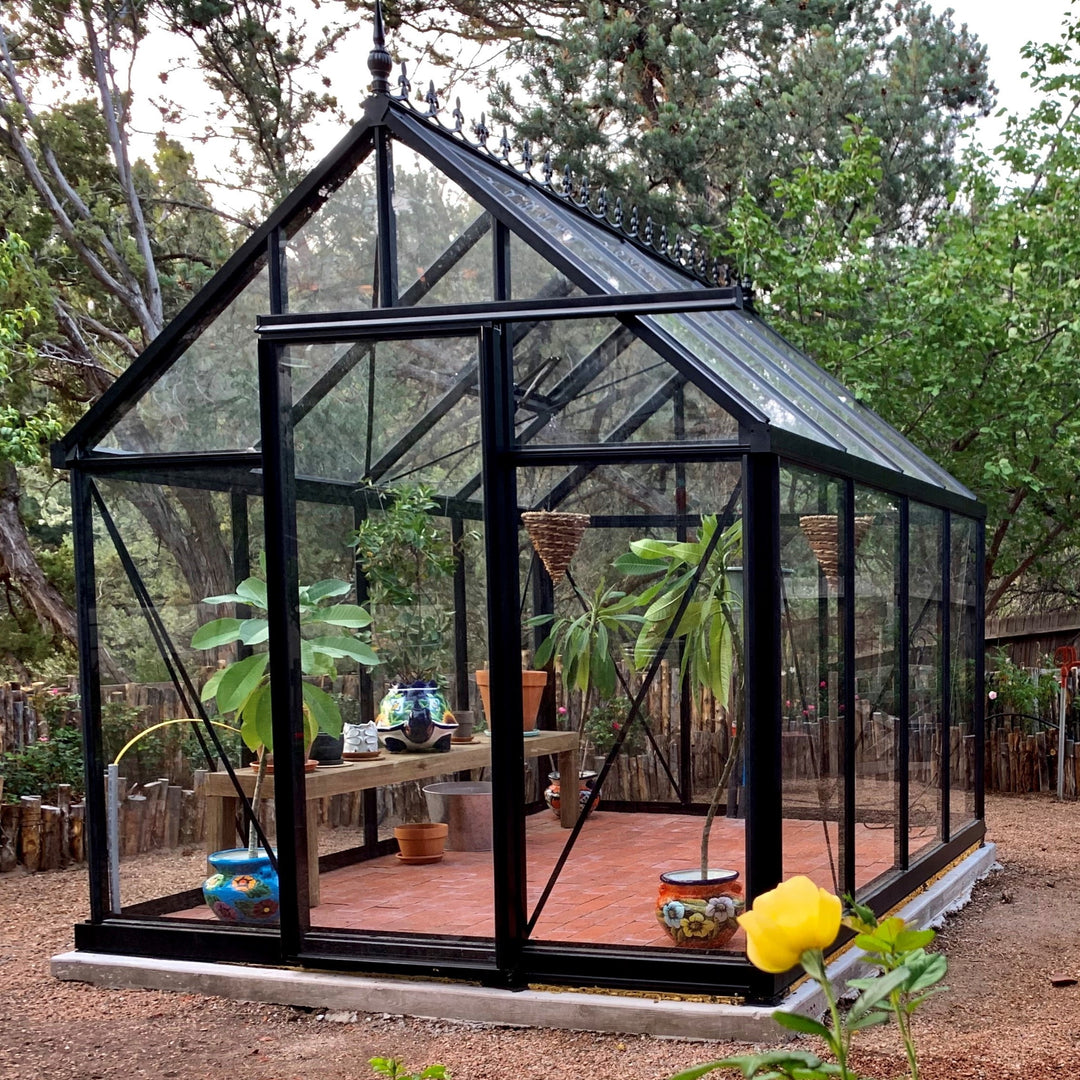 Junior Victorian Greenhouse Kit 7.9 x 12.6 ft. with 4mm Tempered Glass Panels and Aluminum Frame