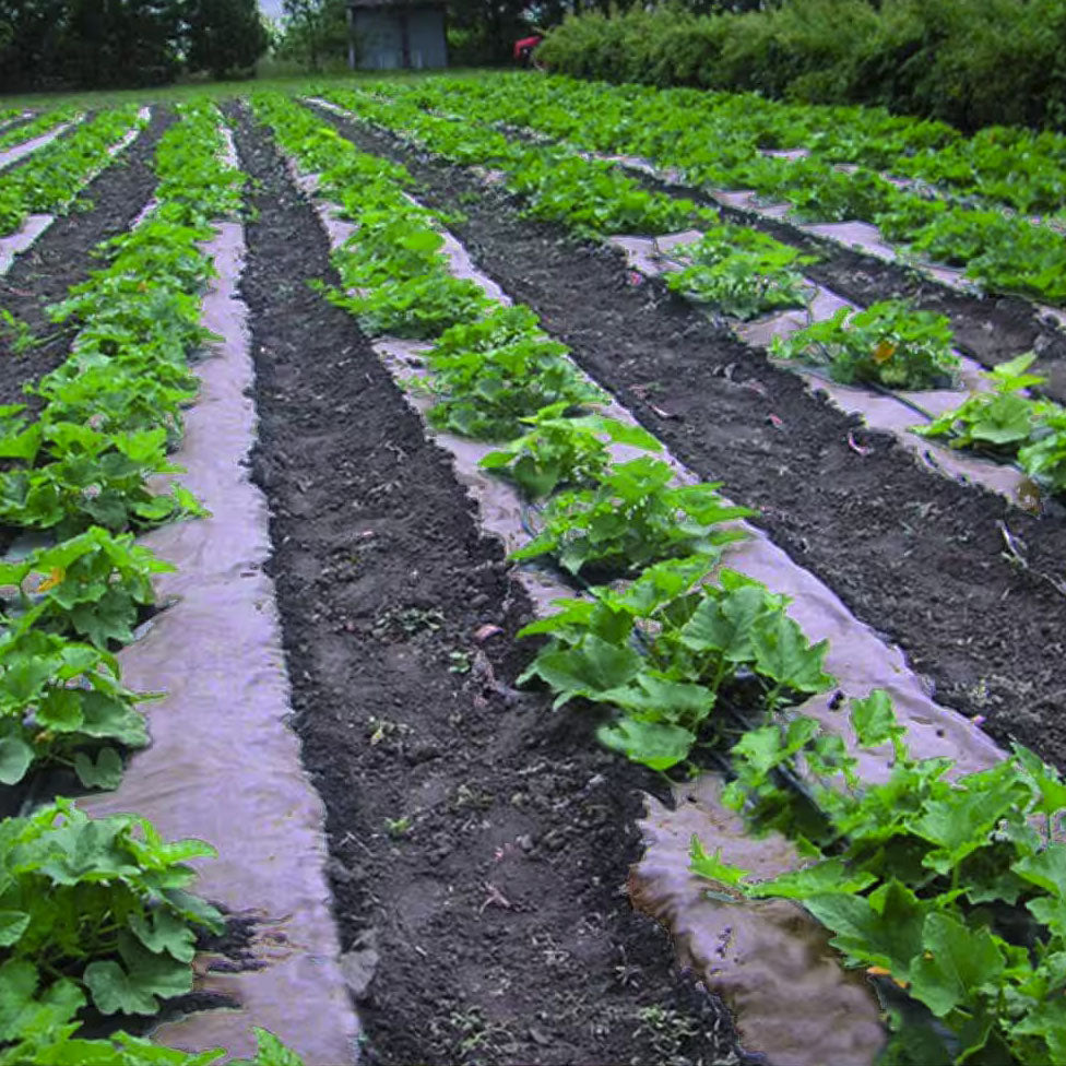 Garden weed blanket sale