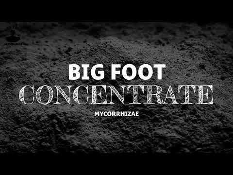 Big Foot™ Mycorrhizae Concentrate