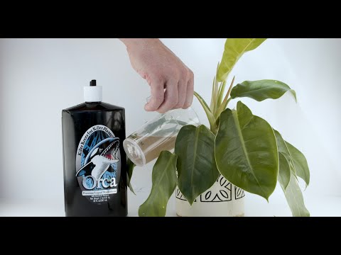 Plant Success Orca® Liquid Mycorrhizae