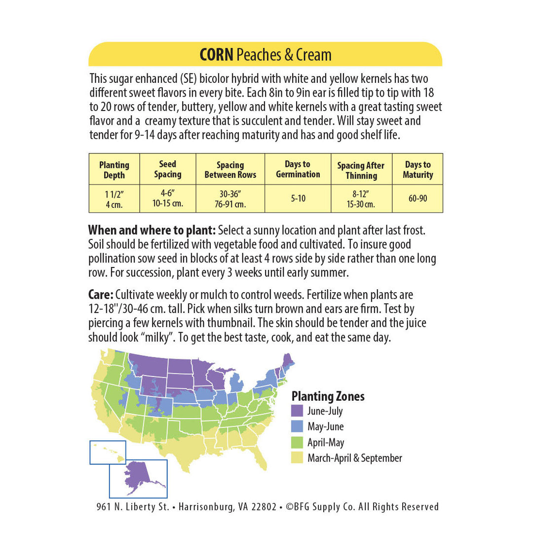 Wetsel Seed™ Corn Sweet Peaches & Cream Seed