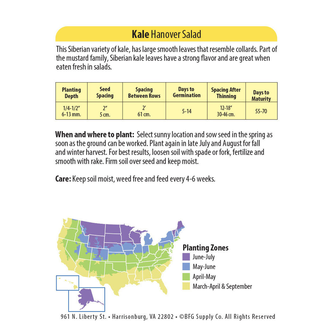 Wetsel Seed™ Hanover Salad Kale Seed