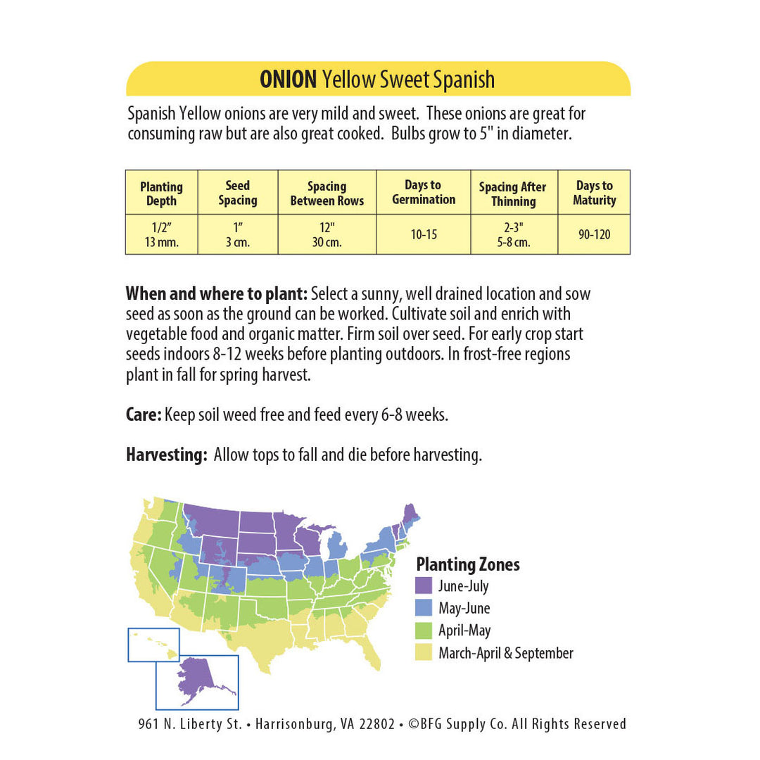 Wetsel Seed™ Yellow Sweet Spanish Onion Seed