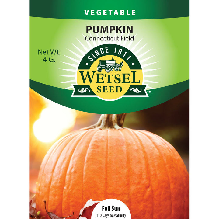 Wetsel Seed™ Connecticut Field Pumpkin Seed