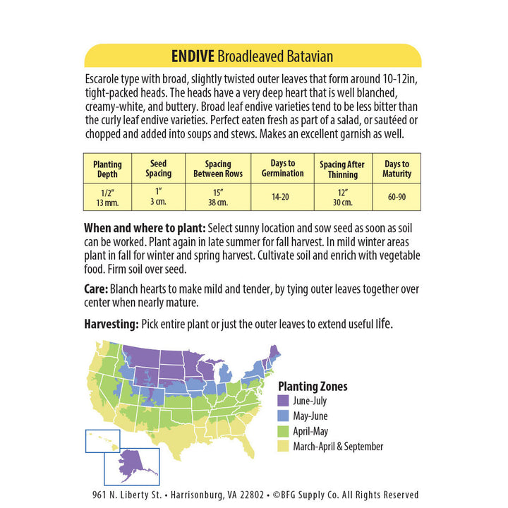 Wetsel Seed™ Organic Broadleaved Batavian Endive Seed