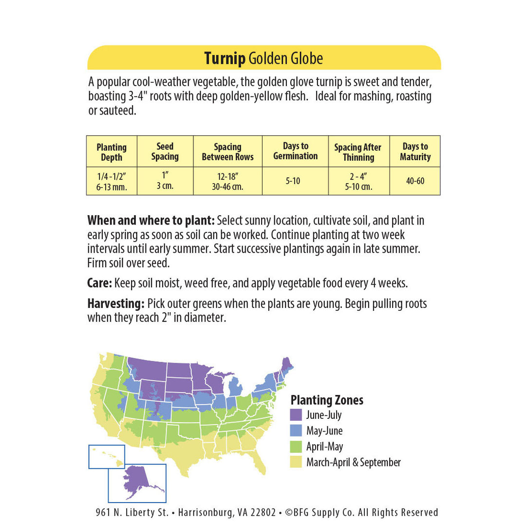 Wetsel Seed™ Organic Golden Globe Turnip Seed