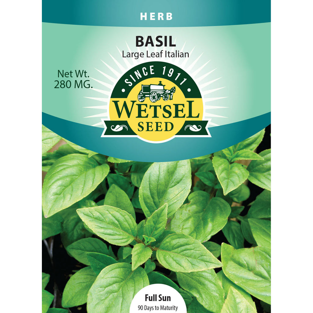 Wetsel Seed Large Leaf Italian Basil Seed Greenhouse Megastore