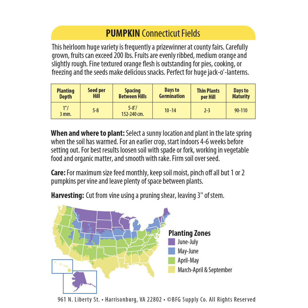 Wetsel Seed™ Heirloom Pumpkin Connecticut Field Seed