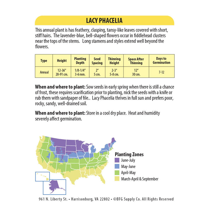 Wetsel Seed™ Lacy Phacelia Seed