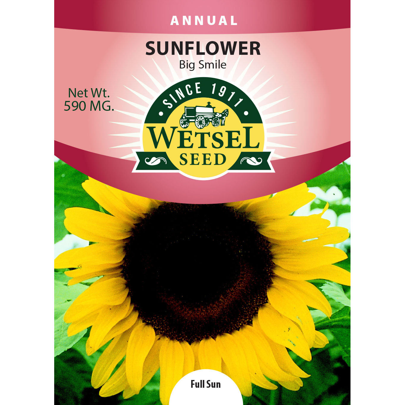 Wetsel Seed™ Sunflower Dwarf Big Smile Seed – Greenhouse Megastore