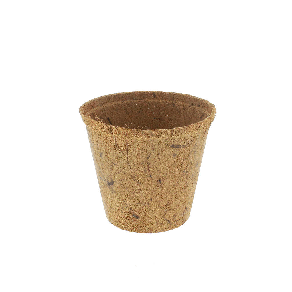 Coir Pots Wholesale & Bulk – Organic Flower Pots – Biodegradable