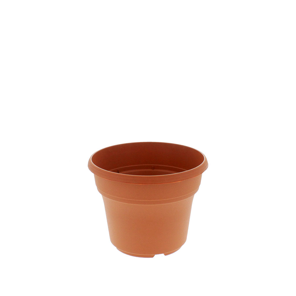 Panterra Oval Pots for Plants - Greenhouse Megastore